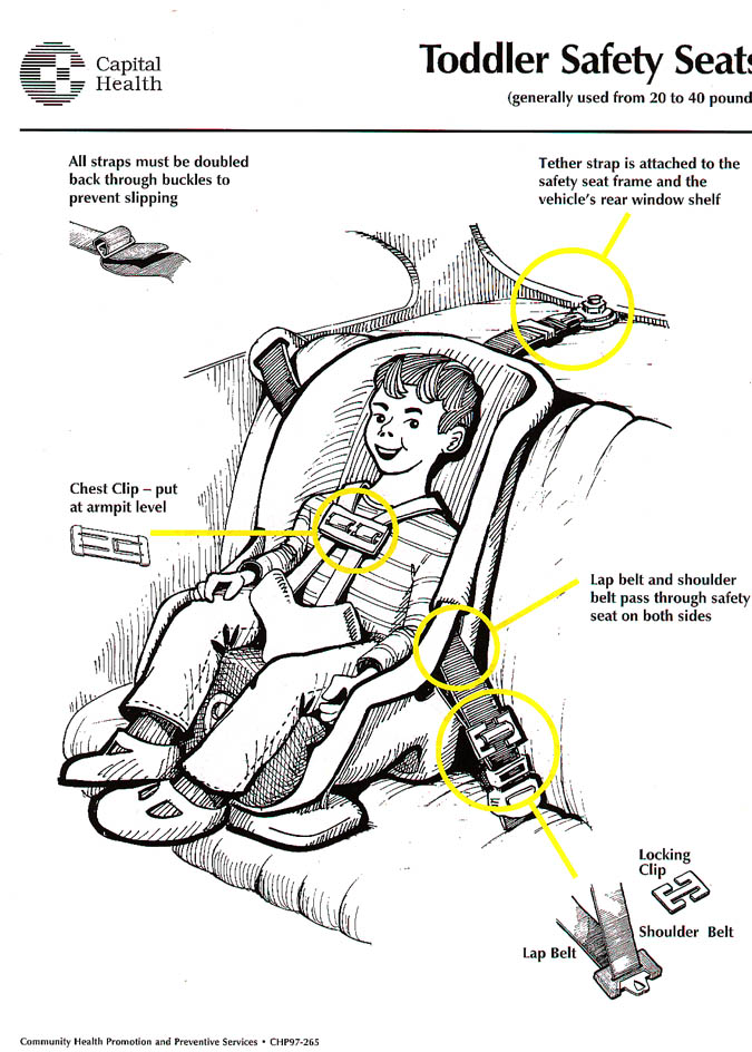 Toddler Safety Seats
